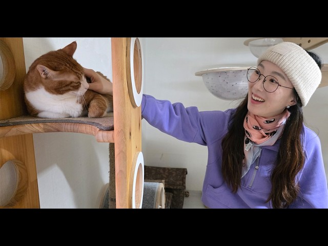 Cat Chat interview with Julie Choi, hosted by Tracie Hotchner