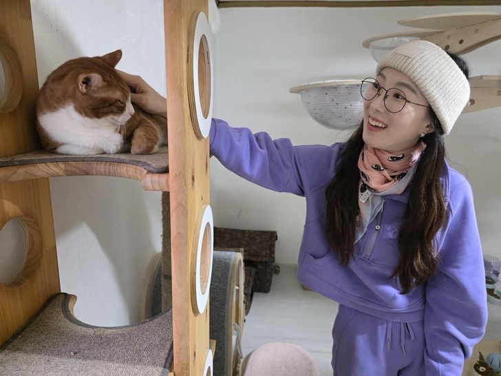 Julie Choi in purple inside the shelter with a rescued cat
