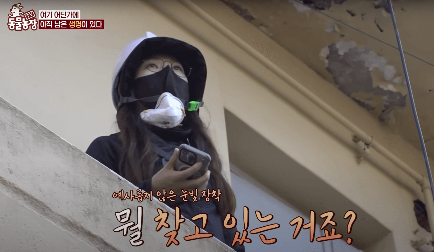 Thumbnail from the SBS Animal Farm feature with YongsanCats