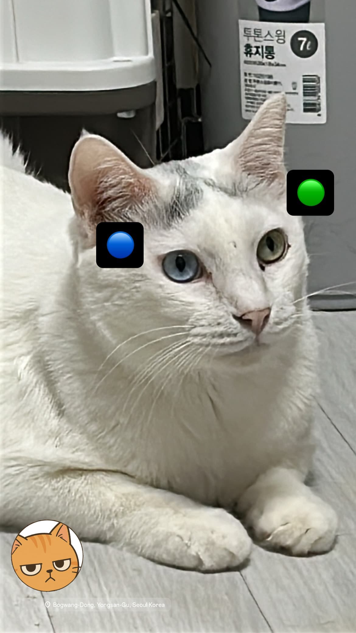 Hilseuteil profile image