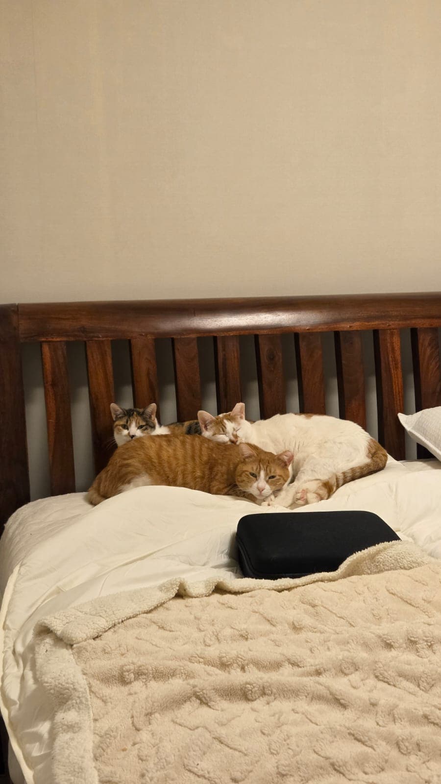 Nachyo & Chijeu profile image