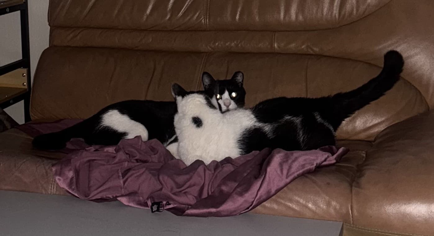 Merongi profile image