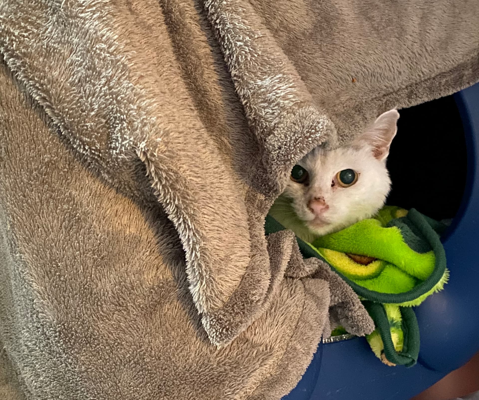 Byeolbit profile image