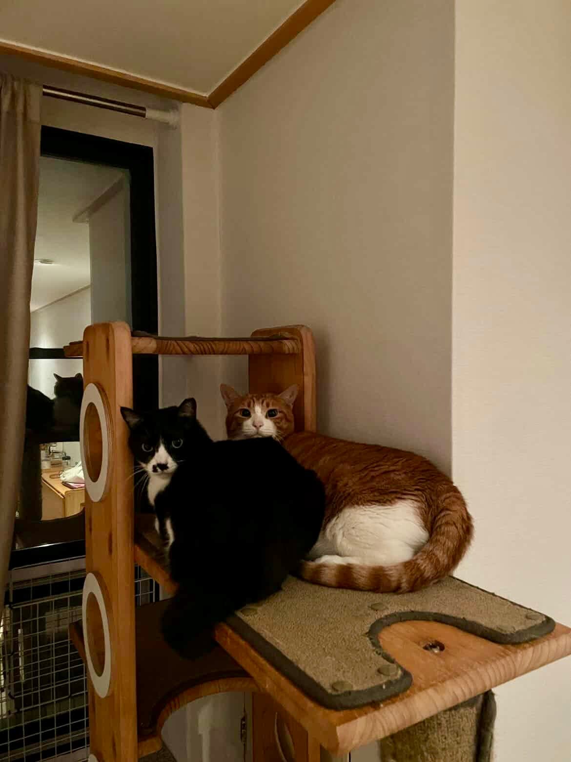 Douneo profile image