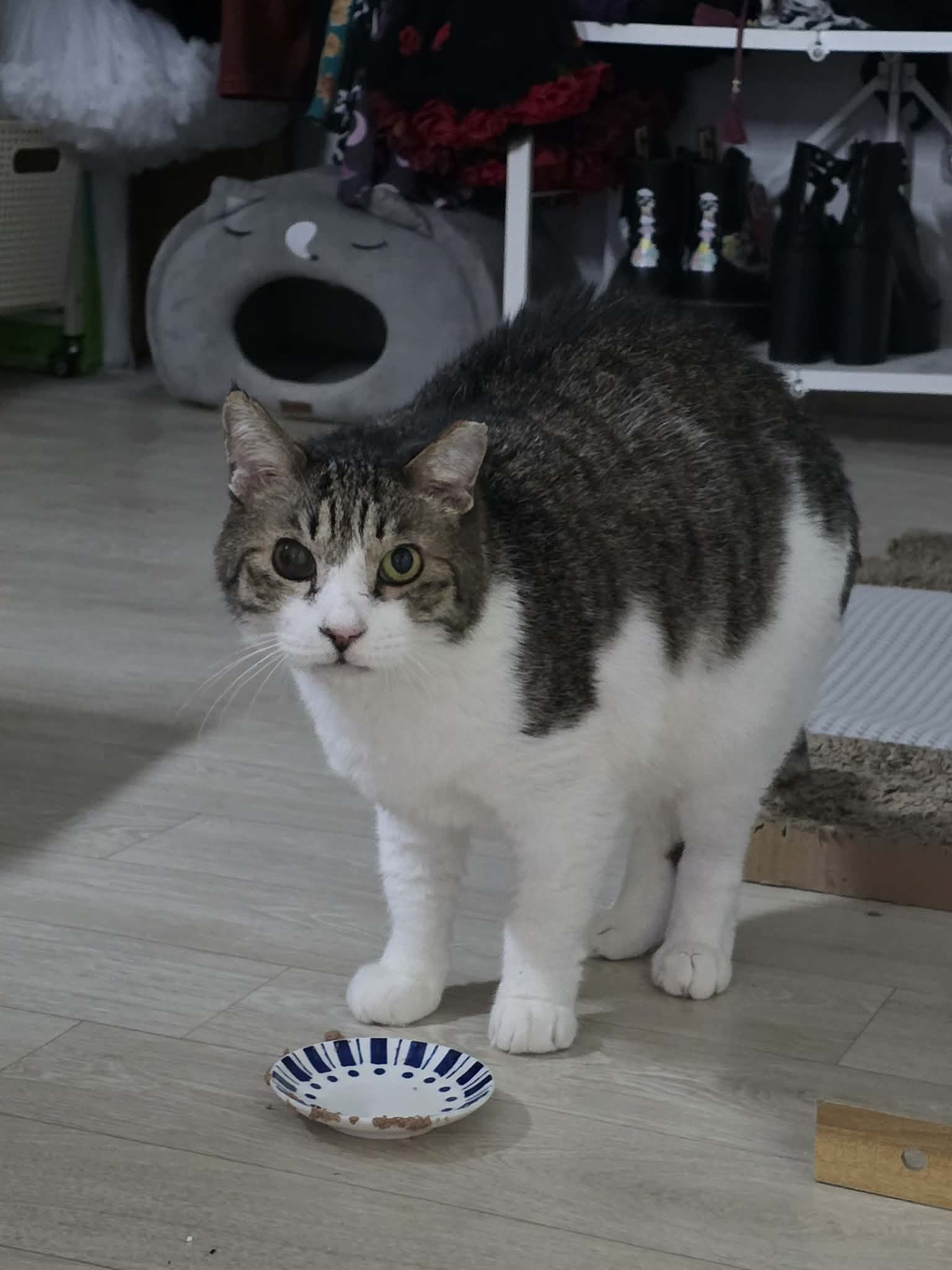 순둥이 profile image