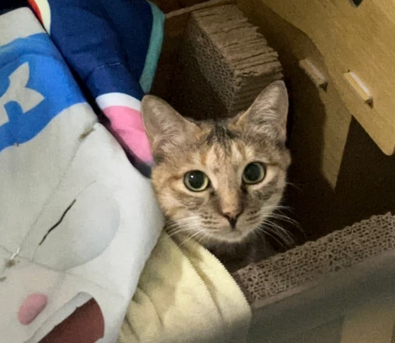 Stormi profile image