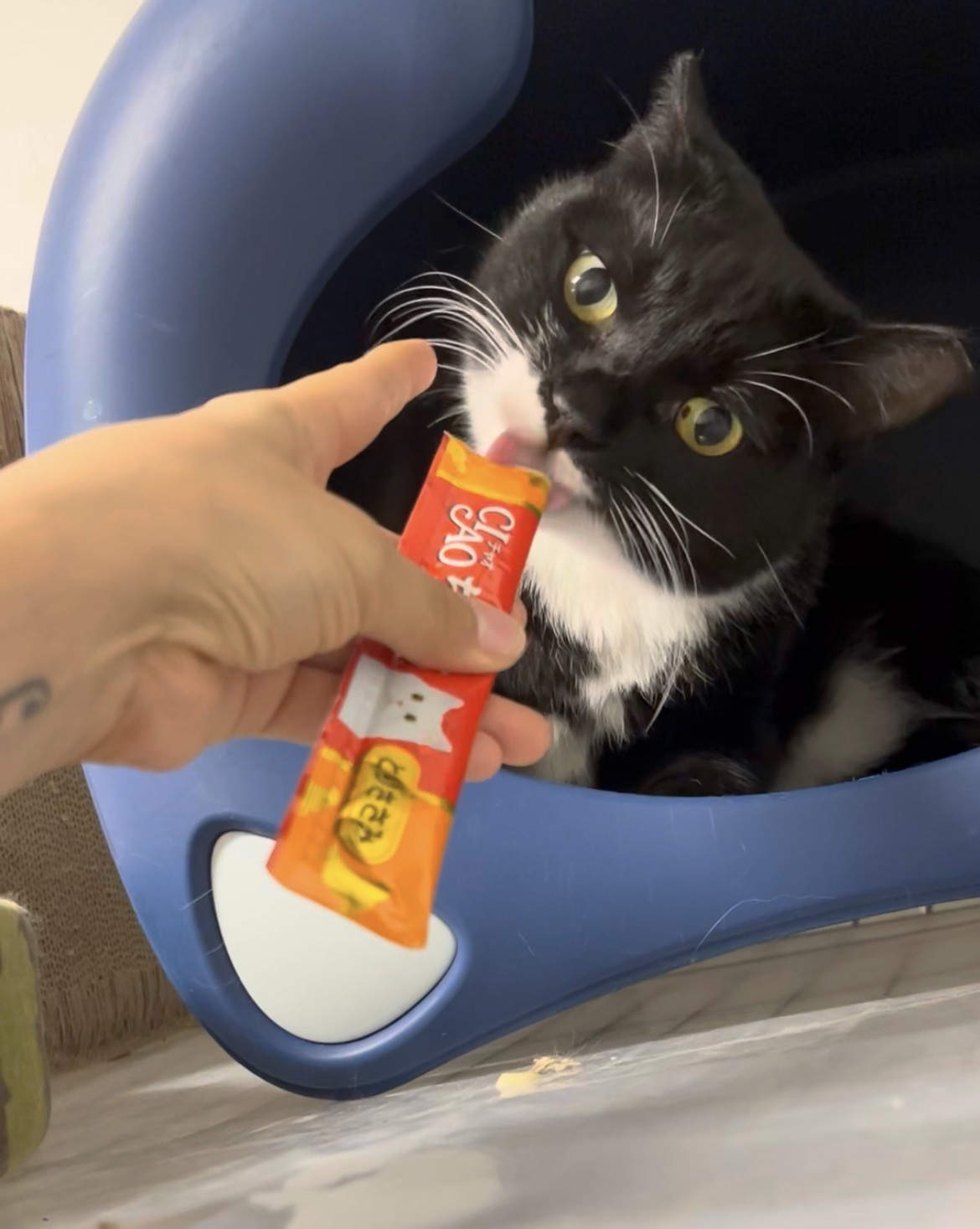 Jenteul profile image