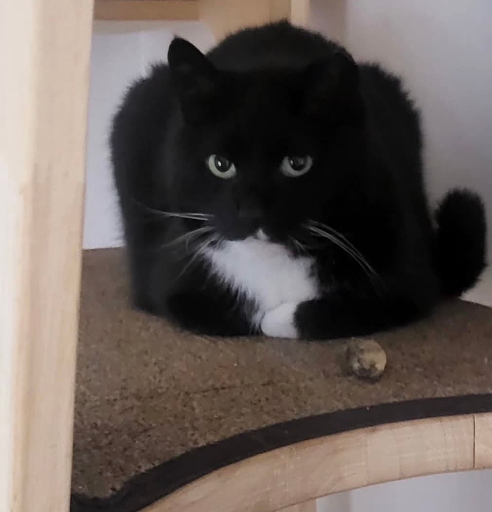 Rooftop profile image